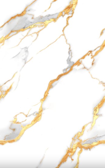 UNO 25X40 XAVION GOLD